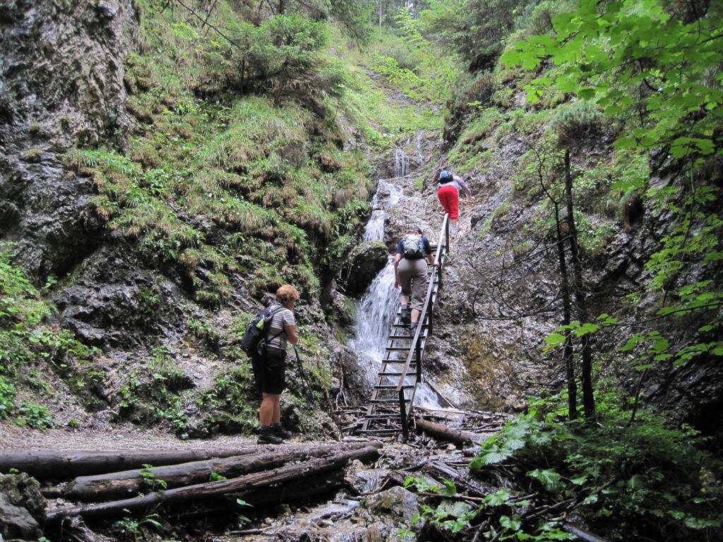 Snímek 1 129 (Large)