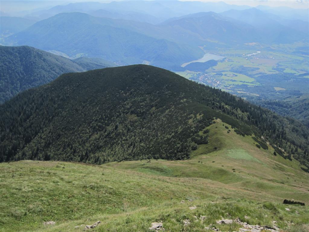 Snímek 1 335 (Large)