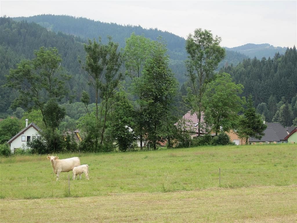 Snímek 1 033 (Large)
