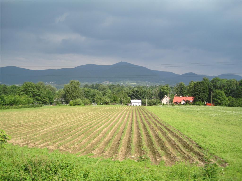 Snímek 1 303 (Large)