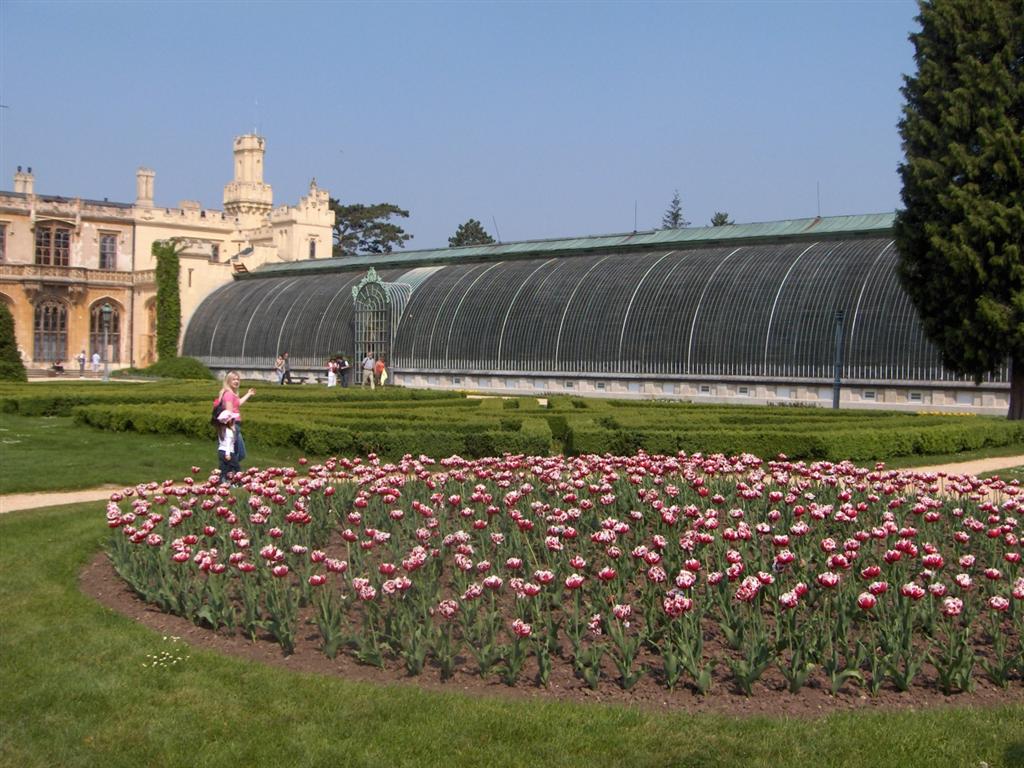 1000 136 (Large)